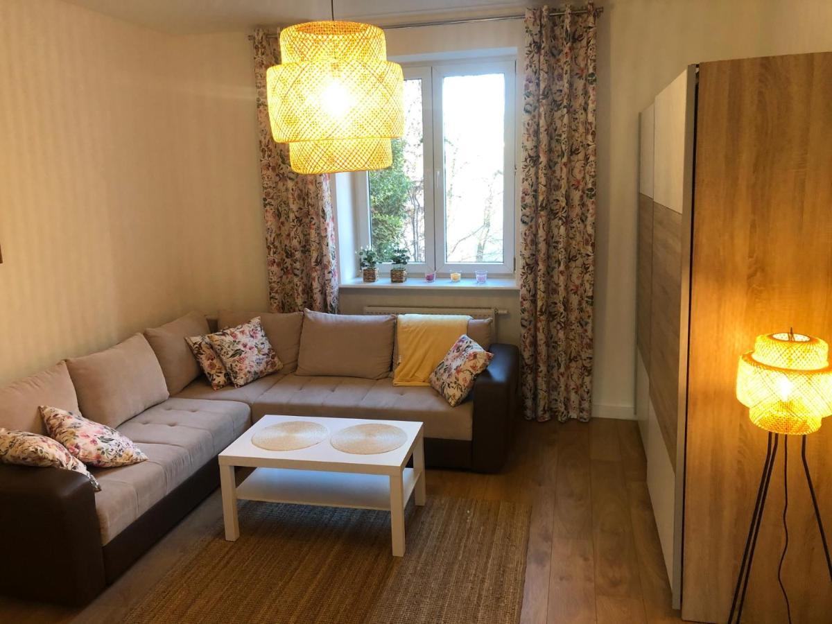 Apartament Browarny オストルフ・ビエルコポルスキ エクステリア 写真